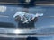 2020 Ford Mustang EcoBoost Fastback