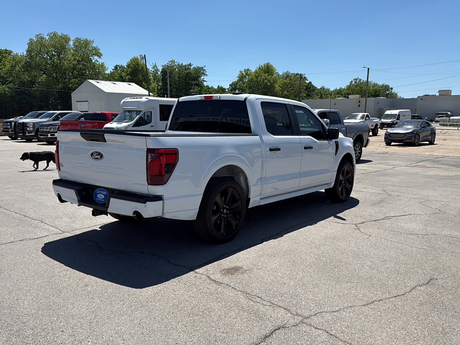 2026 Ford F-150 STX